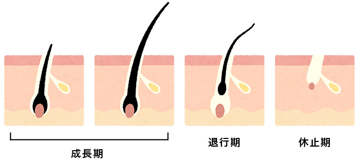 ヘアサイクル